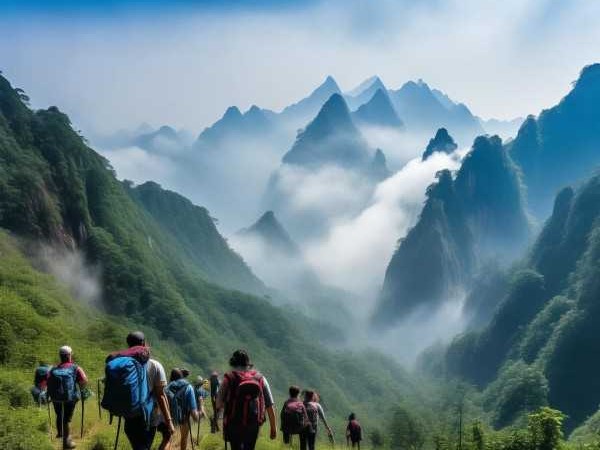 梵净山秘境探幽，贵州旅游攻略全解析