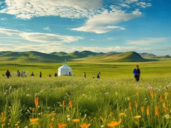 呼伦贝尔大草原深度游攻略，探索无垠草原的秘境之旅