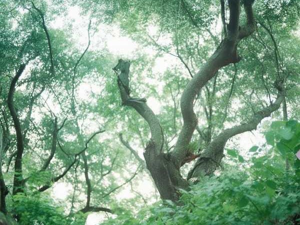 白马湖，自然人文交响的生态旅游胜地
