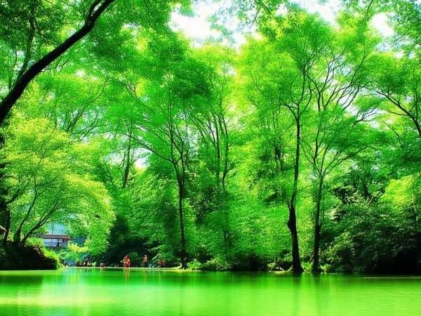 石燕湖，长沙绿肺，自然人文交融的生态仙境