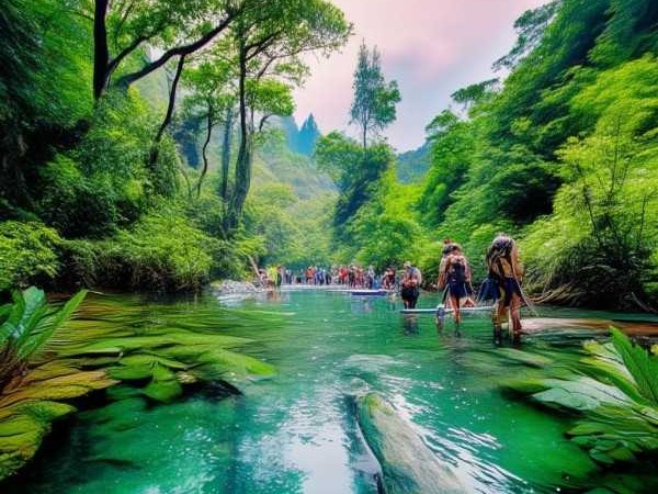 自然奇观之旅，大洋湾生态旅游景区的绿色探险